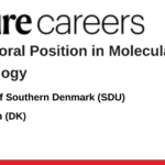 University of Southern Denmark (SDU)