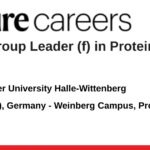Martin Luther University Halle-Wittenberg