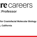 USC Center for Craniofacial Molecular Biology