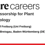 University of Freiburg (Uni Freiburg)